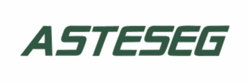 Asteseg